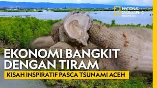 Revolusi Ekonomi Pesisir: Dari Mangrove ke Produk Tiram Unggulan