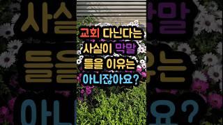 교회 다닌다는 사실이 막말들을 이유는 아니잖아요?