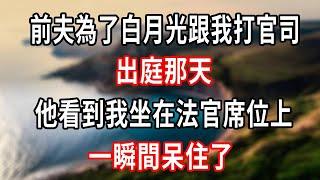 前夫為了白月光跟我打官司，出庭那天，他看到我坐在法官席位上，一瞬間呆住了