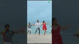 Groove to Almost Padipoyindhe Pilla | #Vishwaksen | #nivethapethuraj | #DasKaDhamki | #Shorts