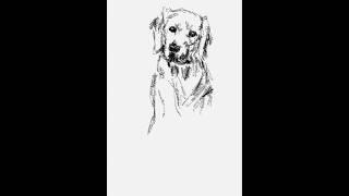Digital Art of Cute Dog 🫟️ ll Step-by-Step ll iPad Art ll #artset #shorts #art #drawing #video