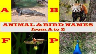 Animal Name | Bird Name |  ABC Learning for Kids | Animal & Birds Names Alphabets @KuboEnglishVocabulary