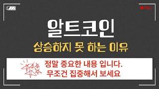 [중요] 알트코인이 상승하지 못 하는 이유