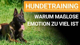  Hundetraining ️ Warum es wichtig ist, die eigenen Emotionen im Griff zu haben ️