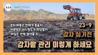 봉춘팜 감자농사 | 감자 심기 전 감자밭 관리방법 | 감자 파종시기 | 감자 비료 종류