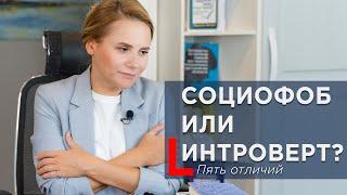 Социофоб или интроверт? 5 ключевых отличий, которые нужно знать #социофобия