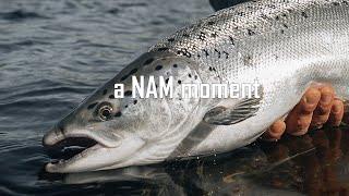 a NAM moment [ Baltic Salmon ]