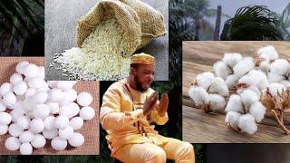 Put Cotton, Rice & Camphor In Your Pocket & This Will Happen - Dr Saam David Makes Revelations