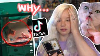 Reviewing AWFUL VIRAL Pet Tiktoks