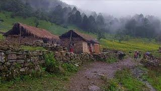 Beautiful Nepali Mountain Village Life || Naturally Most Richest Village People || VillageLifeNepal