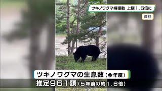 ツキノワグマ 年間の捕獲上限を１．６倍に 栃木県で推計生息数が増加