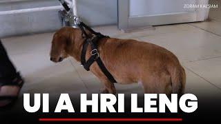 UI A HRI LENG