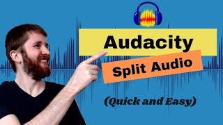How to Split Audio in Audacity (2021), Split a Track into Two