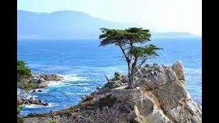 17 Mile Drive, Pebble Beach, Monterey, & Carmel Sunset!