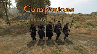 Bannerlord Online: Companions