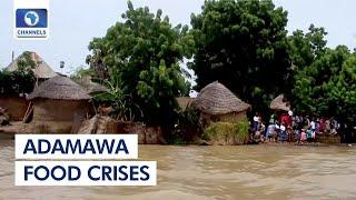 Adamawa Food Crises: Farmers Affected By Flooding Appeal For Support