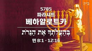 [5785 파라샤트 강해] 파라샤트 베하알로트카(Beha’alotcha): 네가 불을 타오르게 할 때