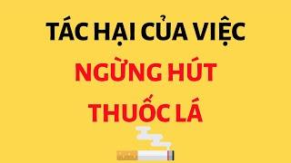 Tổng hợp những kiến thức thú vị - Tập 5 | Những kiến thức có thể bạn chưa biết | Tri thức nhân loại