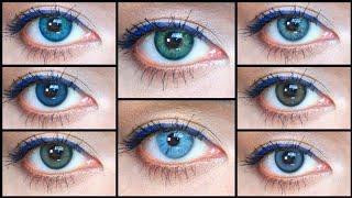 MYEYEBB Contact Lens Review for Dark & Light Eyes