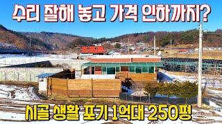 물도 흐르고 맑은 바람도 불어오는 1억대 시골 전원주택 매매 250평 제천시 백운면 소재