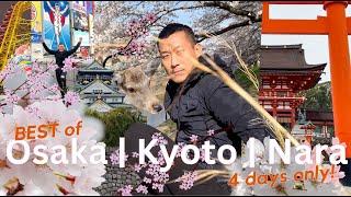 4 Days Osaka Kyoto & Nara Showcasing TOP Destinations | Secret Sakura  Spots Revealed!