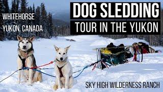 DOG SLEDDING IN CANADA is AWESOME!!! - Sky High Wilderness Ranch