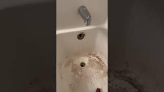 Tub Drain Leaks Bad! Easy Plumbing Repair