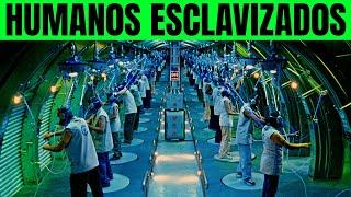 EN EL FUTURO LOS HUMANOS SE CONECTAN A MAQUINAS QUE LES PROVOCAN CEGUERA AL TRABAJAR MUCHO- RESUMEN