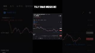 TSLY 테슬리 배당금(6월)