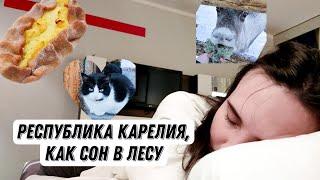 ASMR VLOG| Республика Карелия| Кормлю северных оленей| Катаюсь на собаках| Рассказываю шёпотом