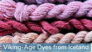 Viking-Age Dyes from Iceland (with Rain Mason)