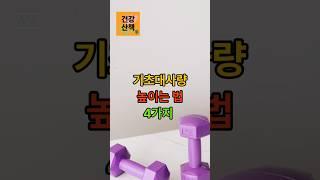 기초대사량 높이는법 4가지#기초대사량#근력운동#노년건강