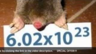 The History of Avogadro's Number with Bill Bryson