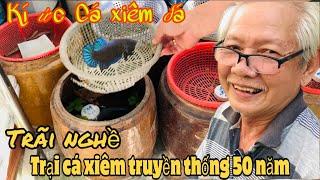 Thăm khu nuôi cá Xiêm truyền thống của lão nông 73tuổi Miền Tây-Thái Salem