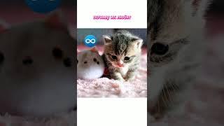 дайте бригаду #квадробика #осужжпю #квд #бригада #июль #рек #топ