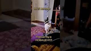 Когда не можешь найти все необходимое для ремонта