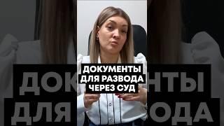 Что нужно для развода через суд? #3 главных документа