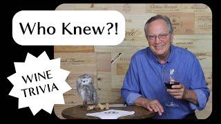 Wine Trivia & Fun Facts