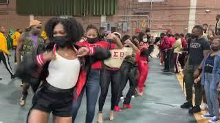 Delta Sigma Theta Sorority, Inc. | The Real Beta Alpha Chapter | FAMU BADST