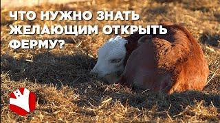 Ферма с нуля | Что нужно знать желающим открыть ферму | Как стать фермером