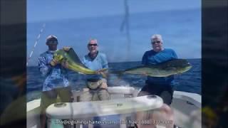 Acrobatic mahi-mahi - Papagayo, Costa Rica | CR Fishing Charters