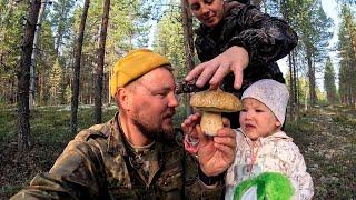 ВЗЯЛ ДЕВЧОНОК В ЛЕС И НАЧАЛОСЬ. СБОР БЕЛЫХ ГРИБОВ. ПОИСКИ БОРОВИКОВ В КРАСИВОМ ЛЕСУ. СЕМЕЙНЫЙ СБОР