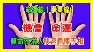 【算命不求人】快速看懂手相-(二十三)命運線、事業線Part 1.事業線流年測算法，影響線|Fate Line