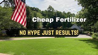 CHEAP FERTILIZER GREAT RESULTS! Walmart Expert Gardener 30-0-4