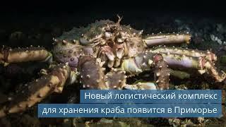 Новые достижения в холодильной отрасли и их влияние на рынок