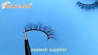 Style No.: CH14  Private Label Eyelashes 3D Top Quality Wholesale 5D 3Dmink Eye Hot Sell Mink Lash