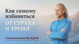 Как пройти свой жизненный путь без страха и тревог/ Валерий Синельников