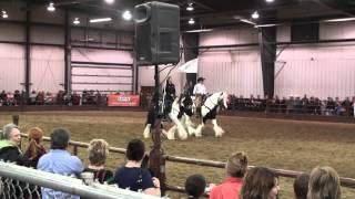 Mane Event Expo Red Deer 2012 - Gypsy Cob demo at Equine Experience