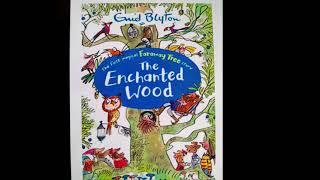 The Enchanted Wood by Enid Blyton. Chs  1- 4