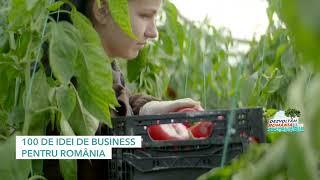 100 de idei de business pentru România | Dezvoltăm România Sustenabil